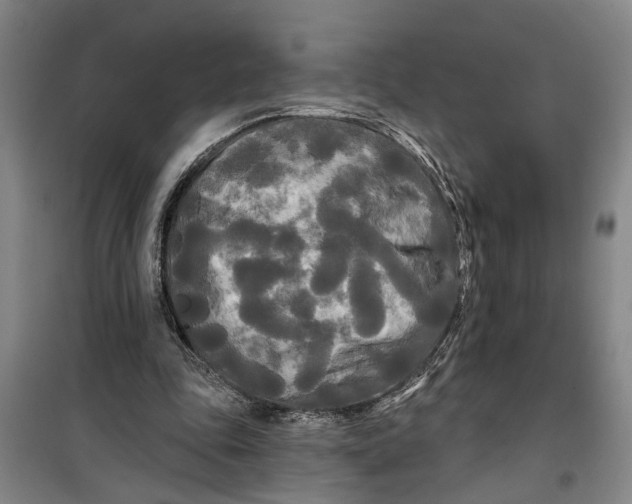 X0000099420343200805301412