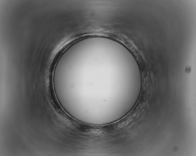 X0000099420344200805301412