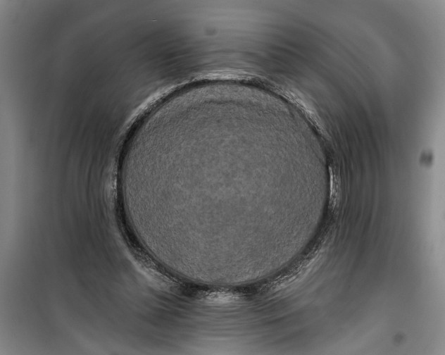 X0000099420348200805301412