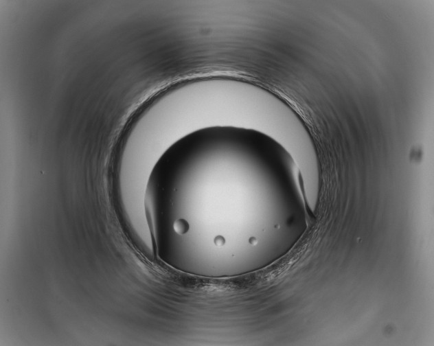 X0000099420350200805301412