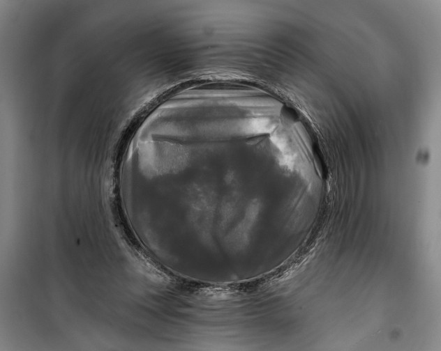 X0000099420351200805301412