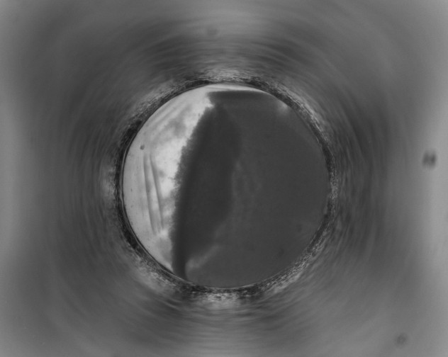 X0000099420353200805301412