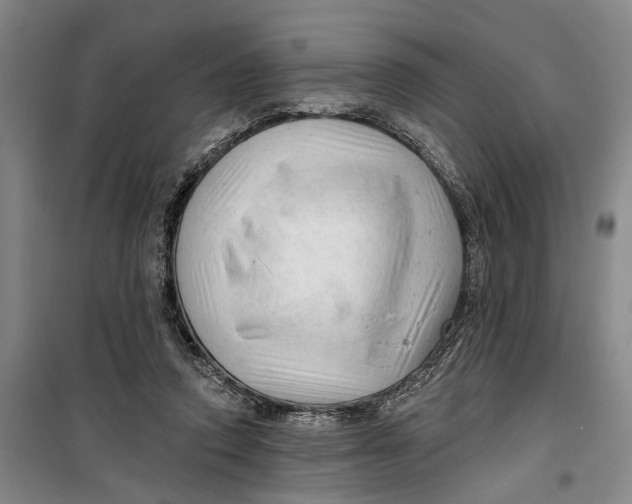 X0000099420354200805301412