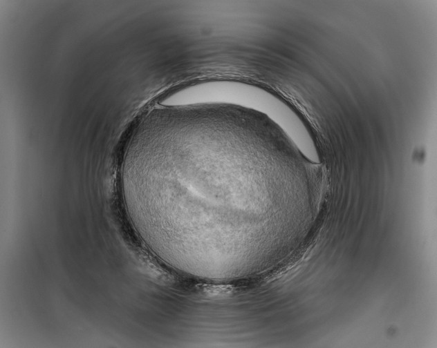 X0000099420355200805301412