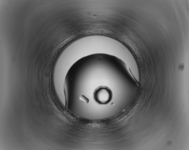 X0000099420356200805301412