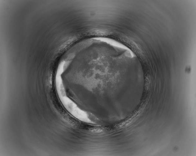 X0000099420358200805301412