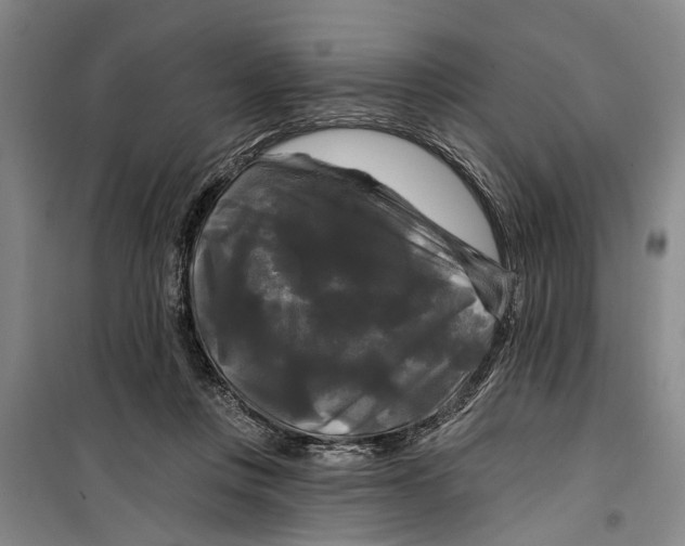 X0000099420359200805301412