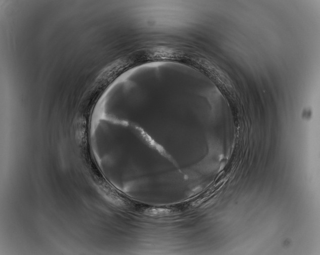 X0000099420361200805301412