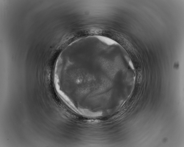 X0000099420363200805301412