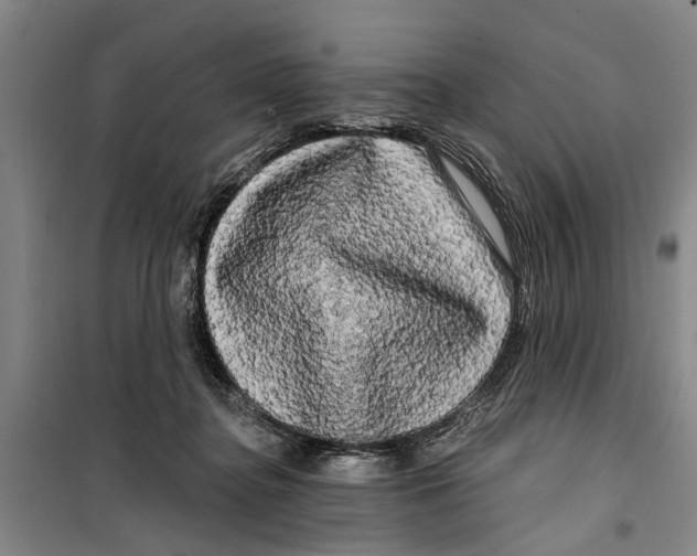 X0000099420364200805301412