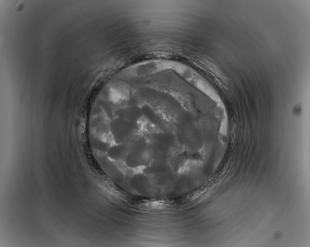 X0000099420365200805301412