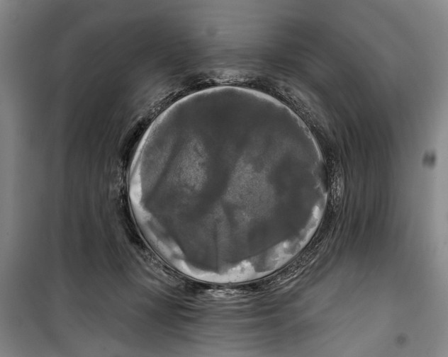 X0000099420367200805301412