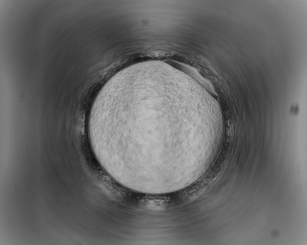 X0000099420368200805301412