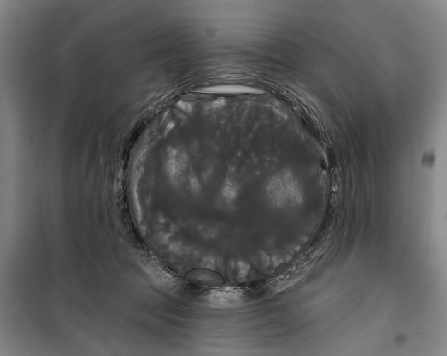 X0000099420369200805301412