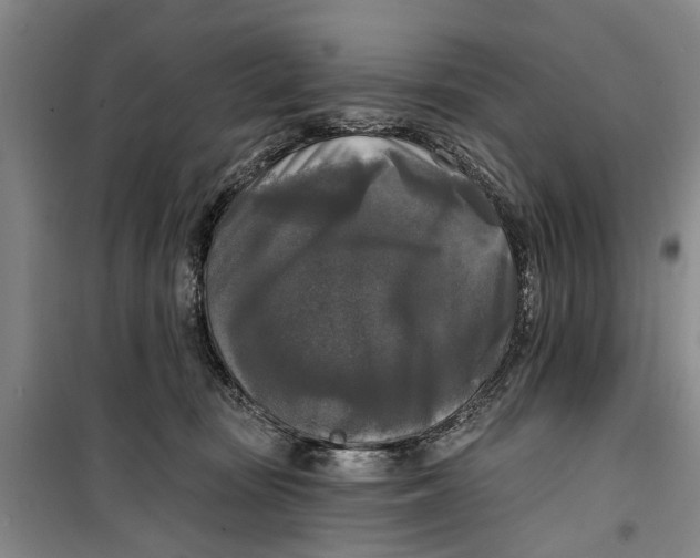 X0000099420371200805301412