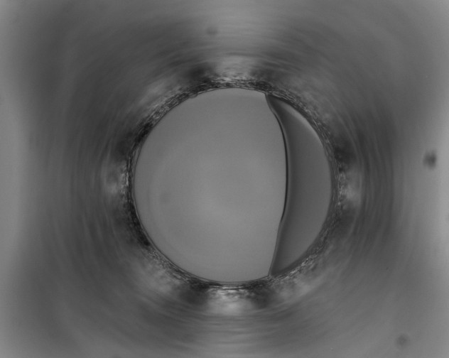 X0000099420372200805301412