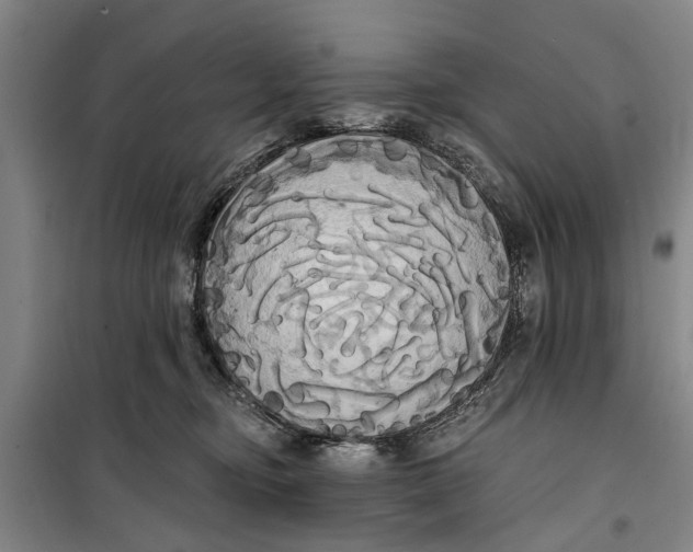 X0000099420374200805301412