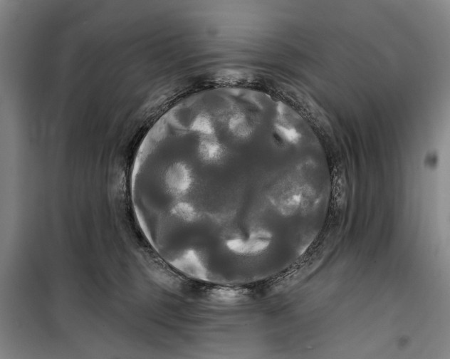 X0000099420375200805301412