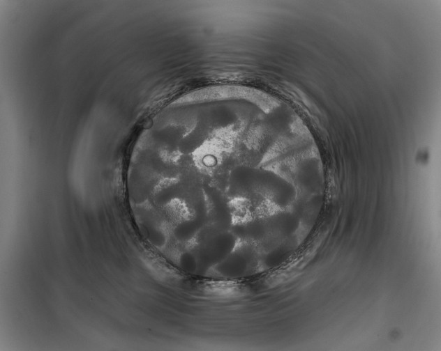 X0000099420377200805301412