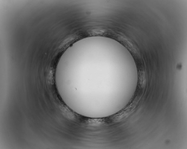 X0000099420378200805301412