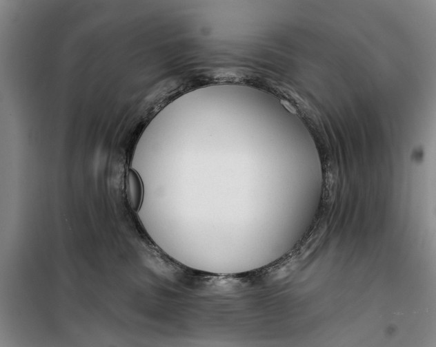 X0000099420379200805301412