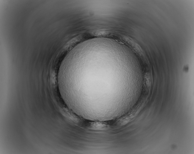 X0000099420380200805301412