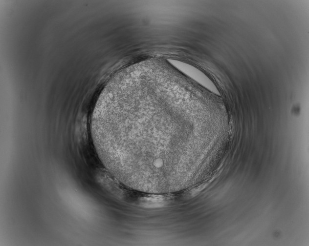 X0000099420381200805301412