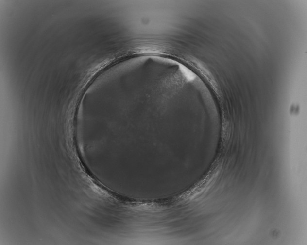 X0000099420385200805301412