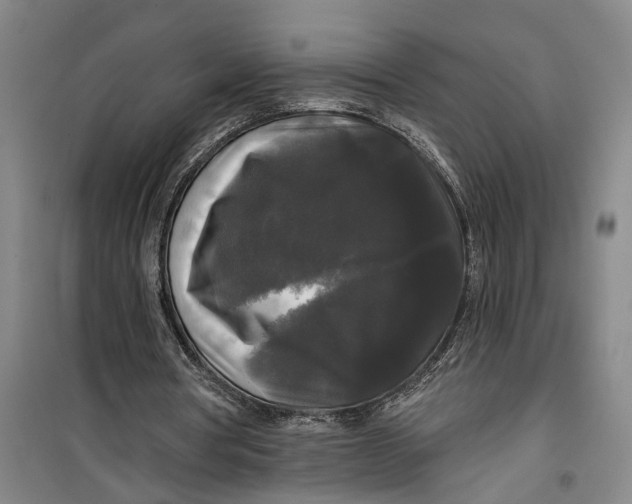 X0000099420386200805301412