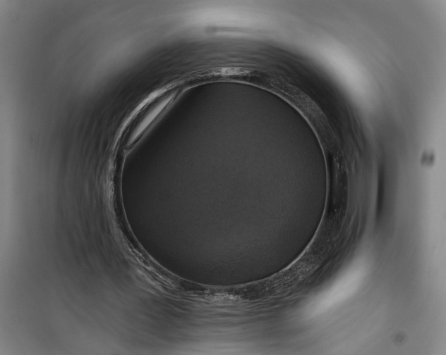 X0000099420387200805301412