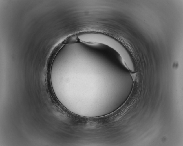 X0000099420388200805301412