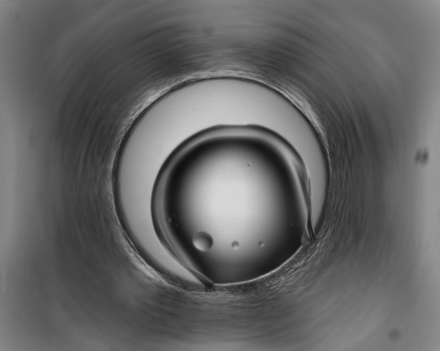 X0000099420389200805301412