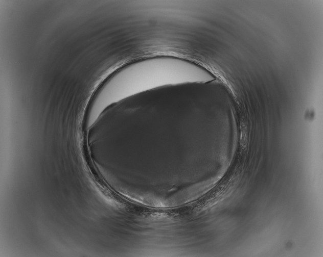 X0000099420390200805301412