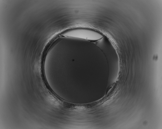 X0000099420391200805301412