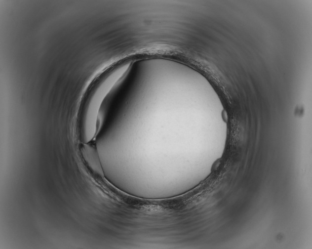 X0000099420392200805301412