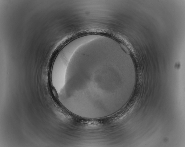 X0000099420395200805301412