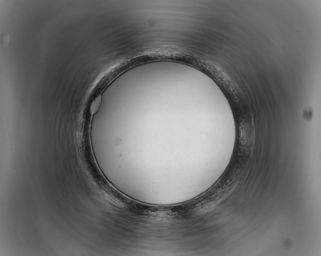 X0000099420396200805301412