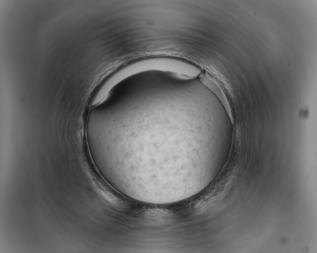 X0000099420397200805301412