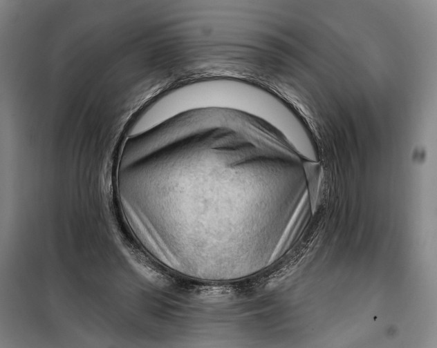 X0000099420398200805301411