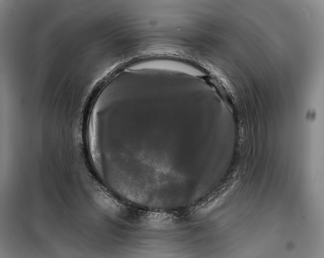 X0000099420399200805301411