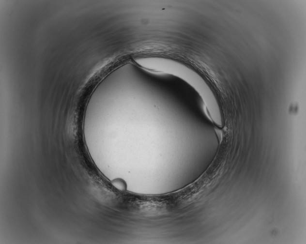 X0000099420400200805301411