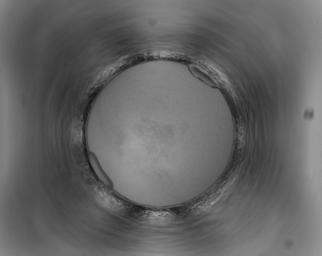 X0000099420401200805301411