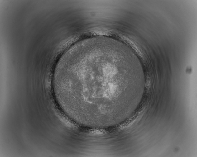 X0000099420402200805301411