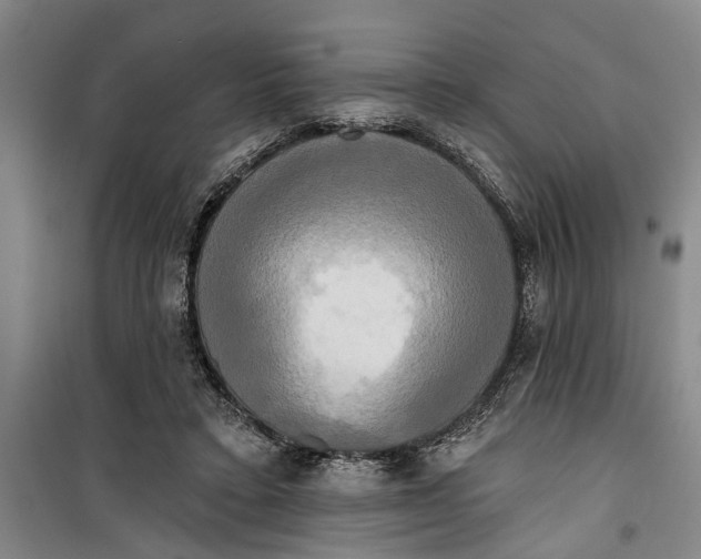 X0000099420403200805301411