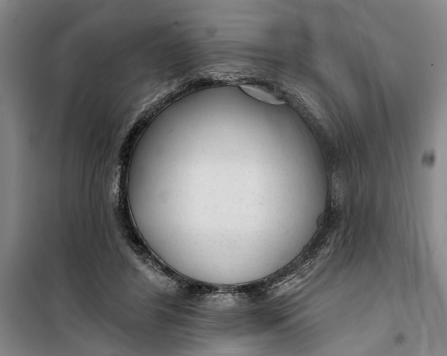 X0000099420404200805301411