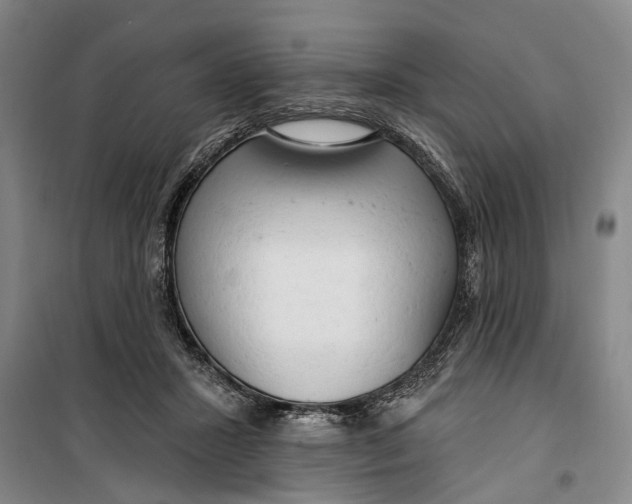 X0000099420407200805301411