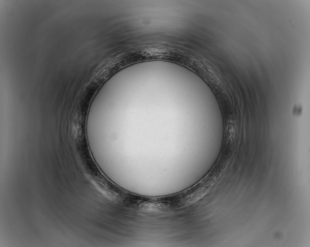 X0000099420408200805301411