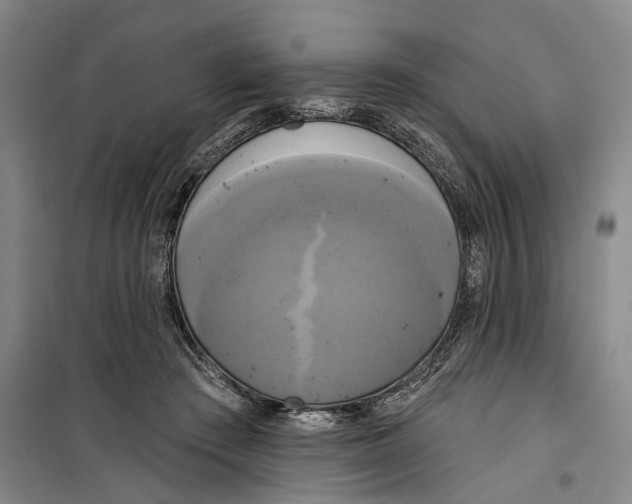 X0000099420409200805301411