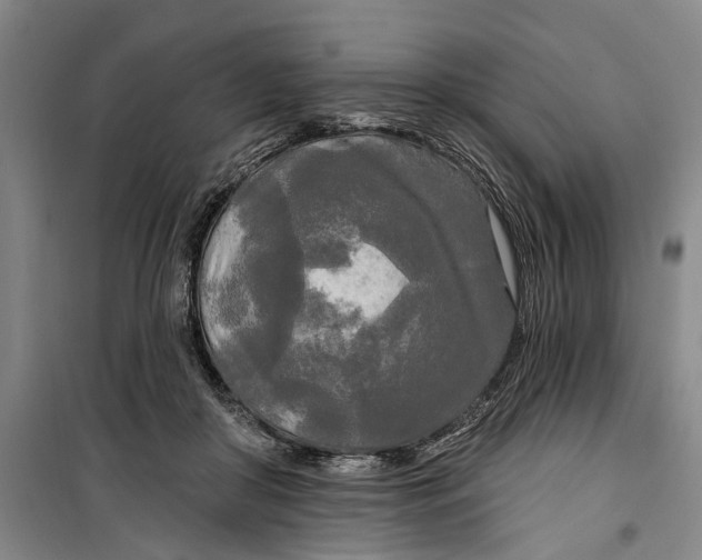 X0000099420410200805301411