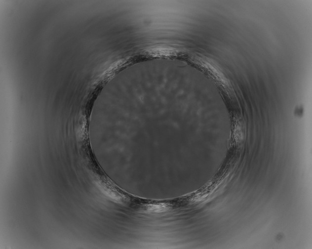 X0000099420411200805301411